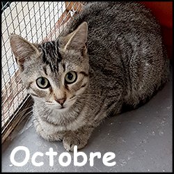 Octobre