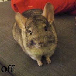 Off