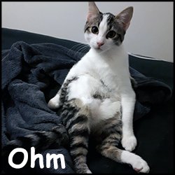 Ohm