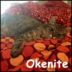 Okenite