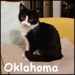 Oklahoma