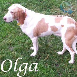 Olga