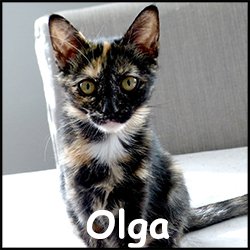 Olga 2