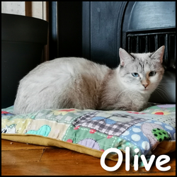 Olive