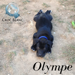 Olympe1