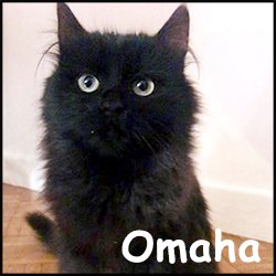 Omaha