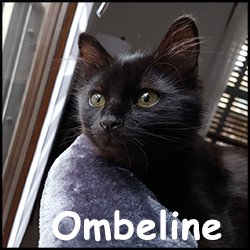 Ombeline