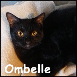 Ombelle