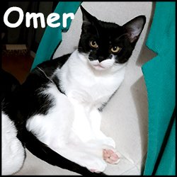 Omer