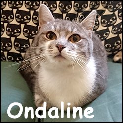 Ondaline