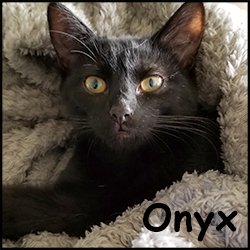 Onyx