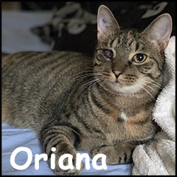 Oriana2