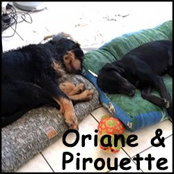 Oriane & Pirouette