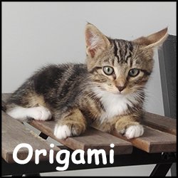 Origami