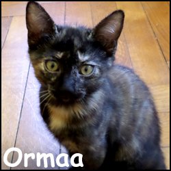 Ormaa