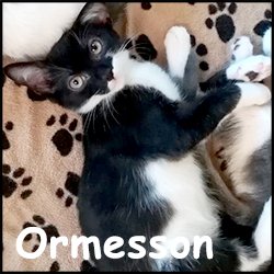 Ormesson