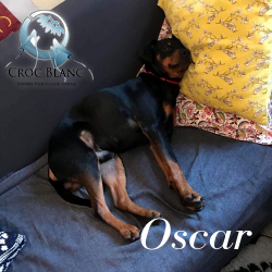 Oscar 2