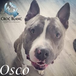 Osco