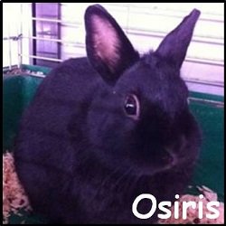 Osiris