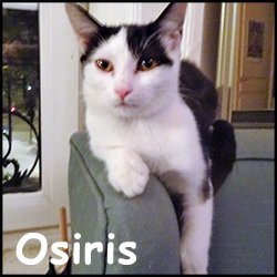 Osiris