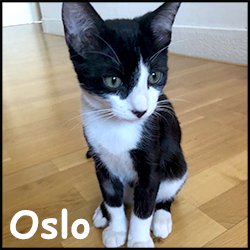 Oslo