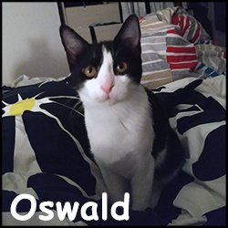 Oswald