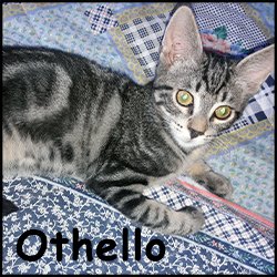 Othello