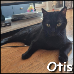 Otis