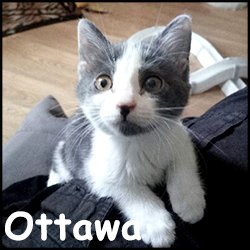 Ottawa