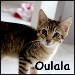 Oulala