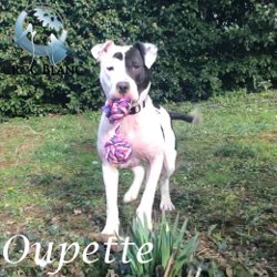 Oupette