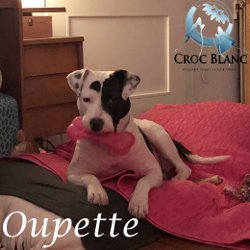 Oupette