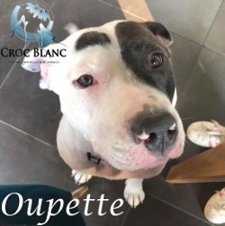 Oupette