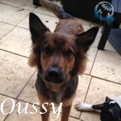 Oussy2