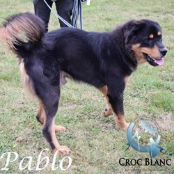 Pablo