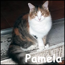 Pamela