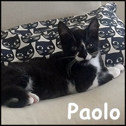 Paolo