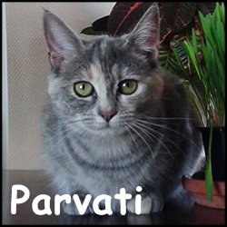 Parvati