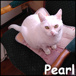 Pearl