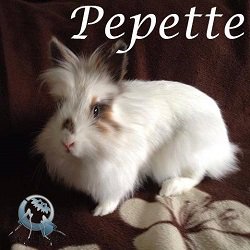 pepette