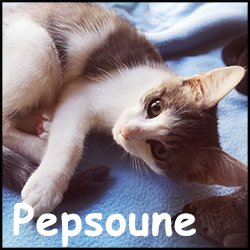 Pepsoune