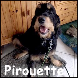 Pirouette