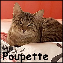 Poupette