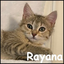 Rayana