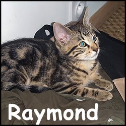 Raymond