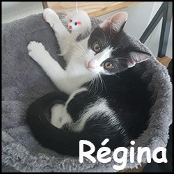 Regina