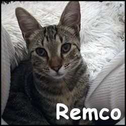 Remco