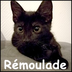 Remoulade