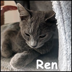 Ren