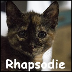 Rhapsodie